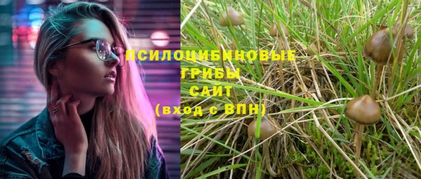 прущая мука Горняк