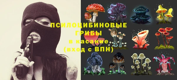прущая мука Горняк