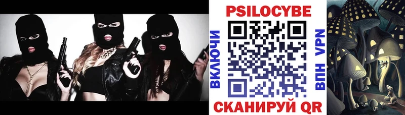 Купить закладки  Западная Двина  Галлюциногенные грибы мицелий 